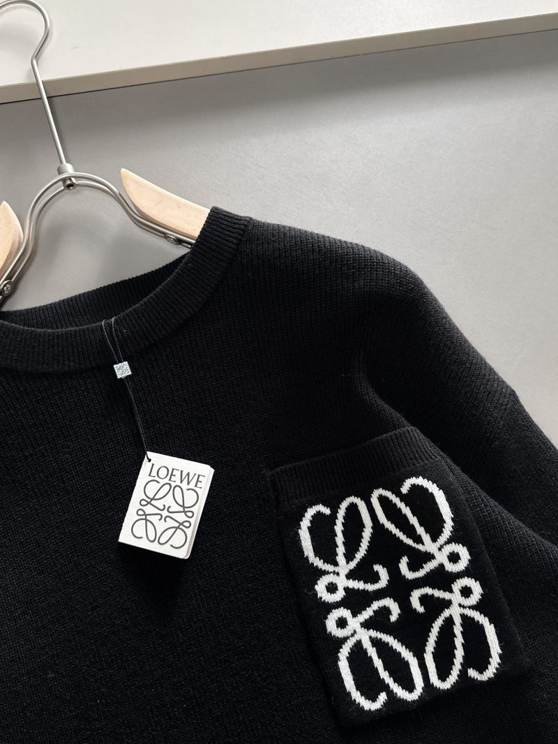 Loewe Sweaters